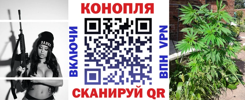 МАРИХУАНА план  как найти закладки  Новоузенск 